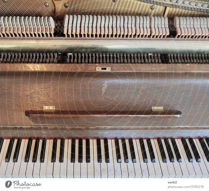 Musikschule Klavier verstaubt Detailaufnahme Musikinstrument Tasteninstrumente staubig Nahaufnahme Gedeckte Farben Innenaufnahme Innenansicht viele