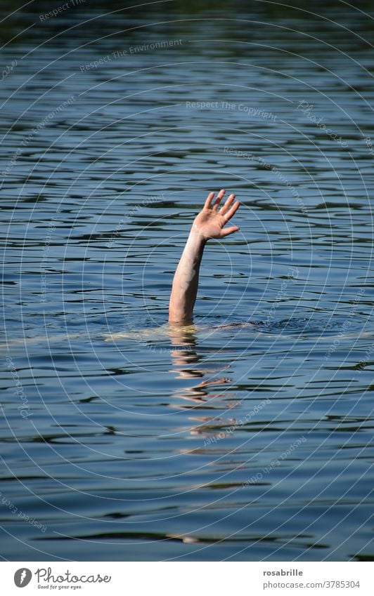 lebensnotwendig | Rettung in Not – Hand ragt hilfesuchend aus dem Wasser ertrinken Hilfe verloren verlassen untergehen See Nichtschwimmer Tod Verzweiflung