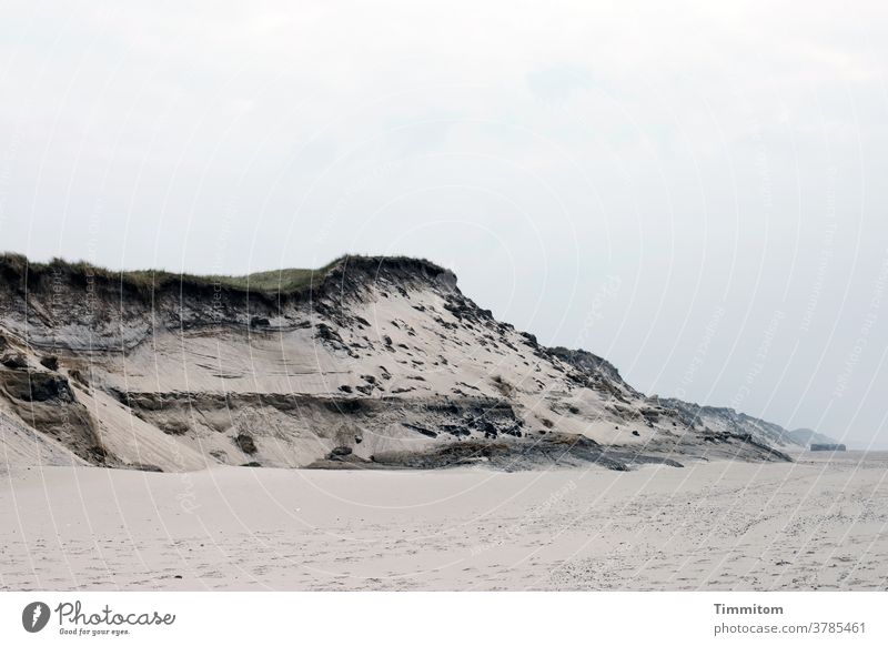 Versandet Düne Dünengras Sand Strand Bunker Nordsee Dänemark Himmel bedeckt Weite Ruhe Ferien & Urlaub & Reisen Menschenleer Farbfoto Küste Natur Außenaufnahme