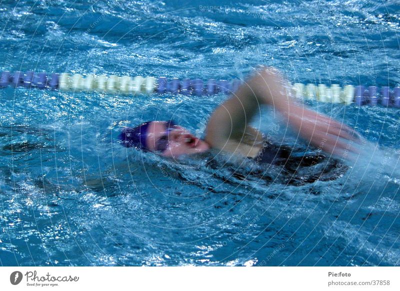 swimming Schwimmsportler Aktion Sport Wasser blau Bewegung Schwimmen & Baden