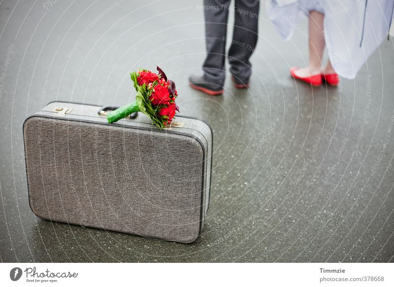Mai-Hochzeit Paar Partner 2 Mensch 18-30 Jahre Jugendliche Erwachsene Blumenstrauß Ferien & Urlaub & Reisen warten Leidenschaft Einigkeit Verliebtheit Romantik
