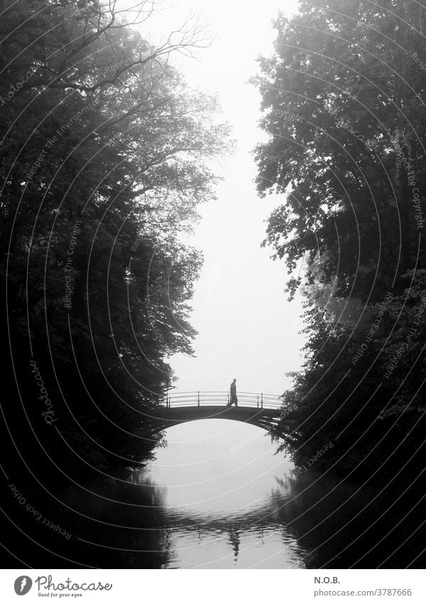 Ein Mann geht im Nebel über eine Brücke, Schwarzweiß Baum Außenaufnahme grau schwarz Herbst Schwarzweißfoto schwarzweiß schwarzweiss in farbe Einsamkeit allein