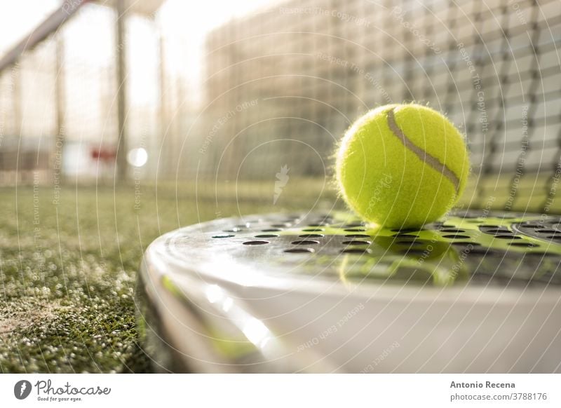 Paddletennisobjekte und -platz. Paddeltennis Padel Sport Remmidemmi Gericht Ball Tennis Erholung Rasen Netz Streichholz im Freien Lebensstile spielen Tennisball