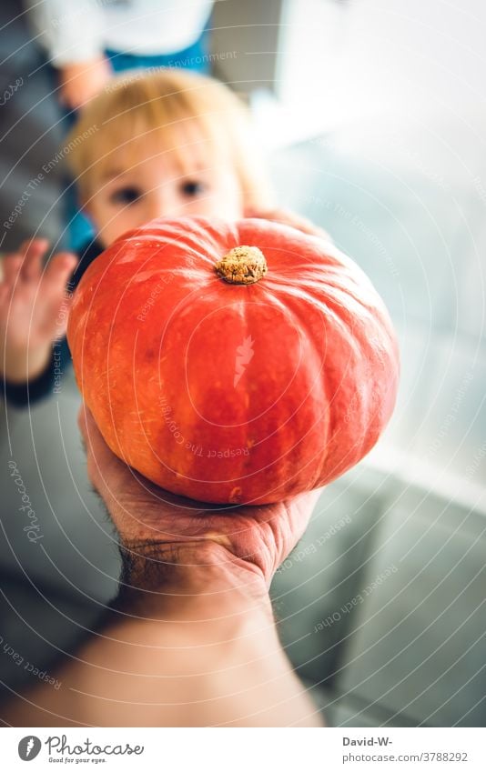 ein kleiner Junge ist faszieniert von einem Kürbis Kürbiszeit Kind Herbst Halloween Vater Sohn zeigen erklären Hände ausstrecken fasziniert