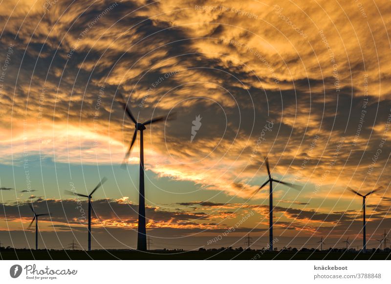 wind wolken sonnenuntergang Energie Erneuerbare Energie Himmel Windkraftanlage Außenaufnahme