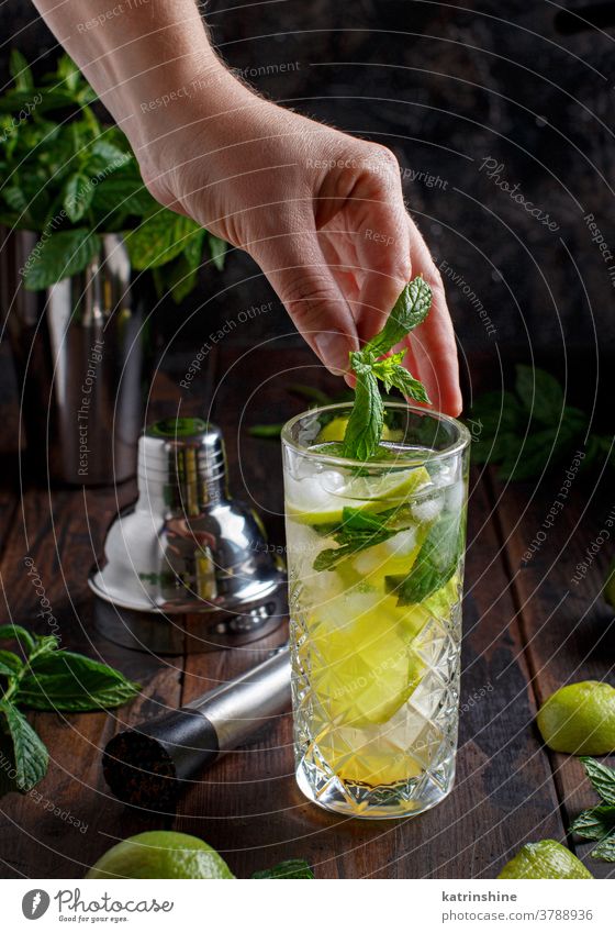 Hände fügen frische Minze im Glas mit Mojito-Cocktail hinzu Mocktail gesichtslos Kalk Caipiroska Caipirinha Barkeeper Herstellung Vorbereitung Limonade Getränk