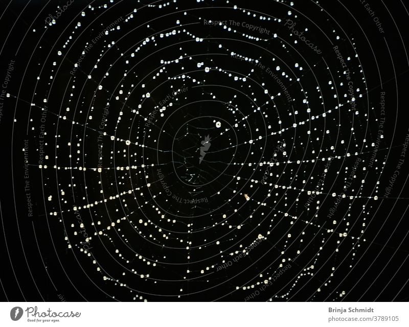 Ein filigranes Spinnennetz mit funkelnden Wassertropfen vor schwarzem Hintergrund abstract artistic background black black background circle closeup cobweb