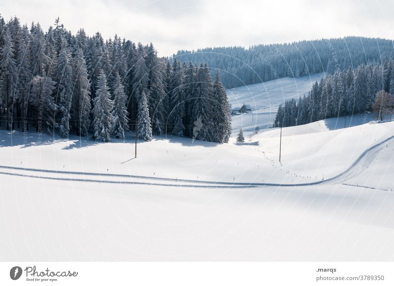 Winterlandschaft mit Loipe Schnee Wintersport Langlauf Nadelbaum Aussicht Hügel Himmel Landschaft Skilanglauf Winterurlaub Natur