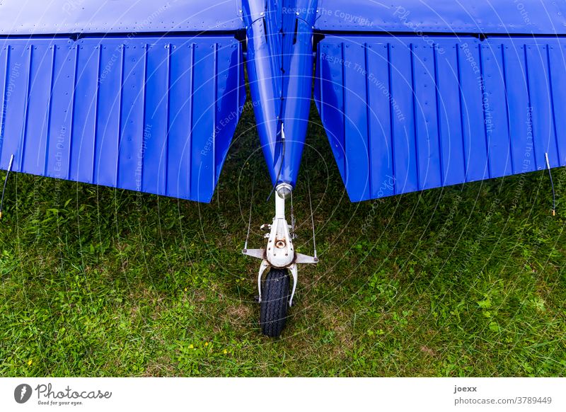 Höhenruder eines Propellerflugzeuges mit Spornradfahrwerk Rad Heckrad Flugzeug blau grün Luftverkehr Heckflügel Seitenruder Fahrwerk Wiese Rasen Flughafen