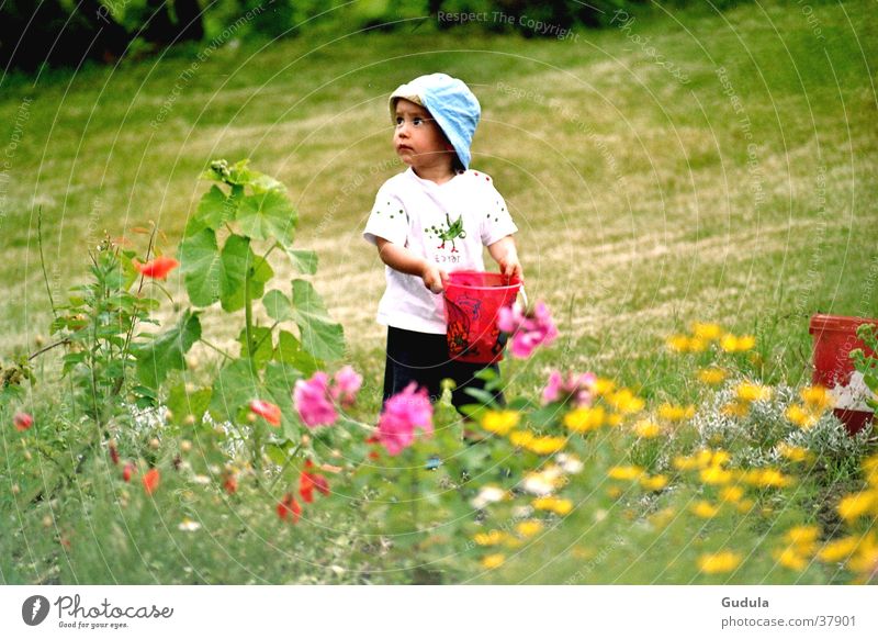 Blumenwiese Kind Wiese Sommer träumen Physik grün Mann Junge Wärme