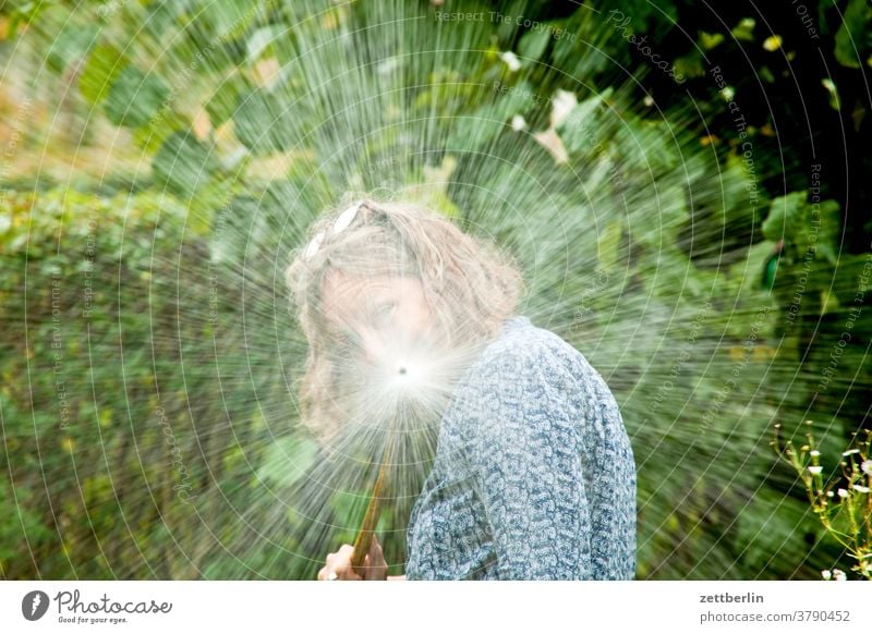 Frau mit Wasserschlauch erholung ferien garten kleingarten kleingartenkolonie natur pflanze ruhe schrebergarten sommer strauch textfreiraum tiefenschärfe wiese