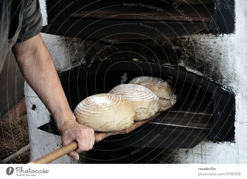 lebensnotwendig | unser täglich Brot backen Bäcker Backofen Holzofen Handwerk Laib Brotlaib Laibe frisch gesund natürlich ofenfrisch altertümlich Pizzaofen