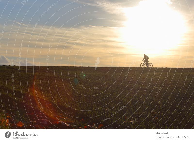 Radfahrer am Horizont in Morgendämmerung rad radfahrer morgen feld straße fahrradweg umwelt mobilität
