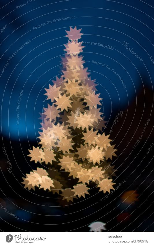 sternchenweihnachtsbaum Sterne Sternchenweihnachtsbaum Weihnachtsbaum Nacht Himmel Nachthimmel Weihnachten & Advent Winter Baum Lichter leuchtend weihnachtlich