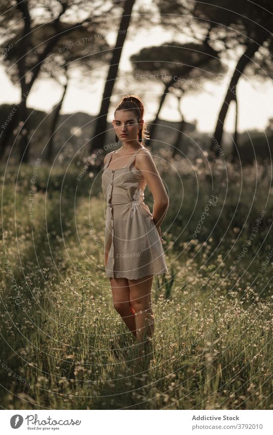 Schlanke Frau stehend im Sommer Park Kleid Rasen friedlich sich[Akk] entspannen Wiese Windstille Sonnenlicht Island Gelassenheit genießen grün jung ruhig Feld