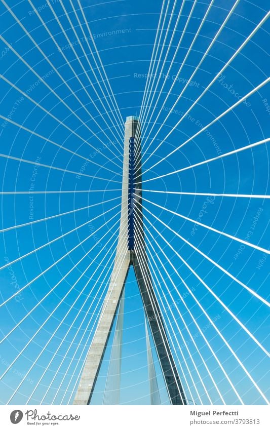 Detail der Hängebrücke, des Tragturms und der Zugstangen oder Zugseile Kettenbrücke Brücke Architektur Kabel Aufhängeseil Pylon abstrakt Struktur Hosenträger