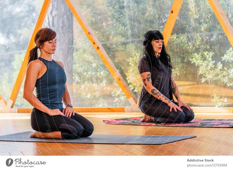 Menschen üben Yoga auf Holzboden Krampfanfall-Pose Beine gekreuzt Unterlage Wellness Sprit Gesunder Lebensstil Klasse Club Sitzung Stock Dehnung Vitalität