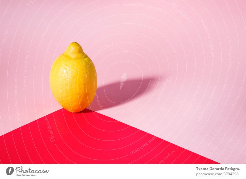 Isolierter zitronenfarbener Projektionsschatten auf rotem und rosa Hintergrund Zitrone Farbe gelb gesättigt Stillleben Minimalismus Frucht vereinzelt natürlich