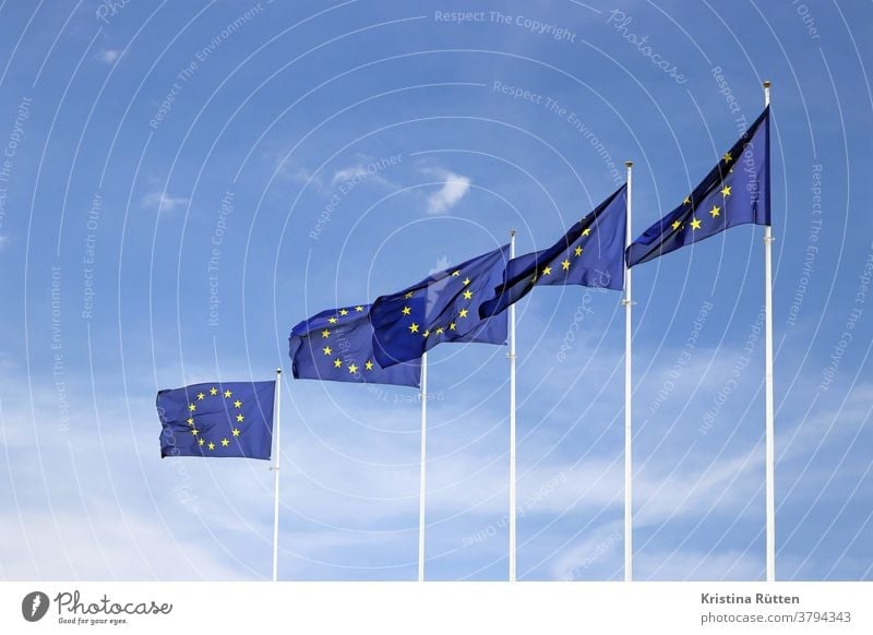 europaflaggen wehen im wind europäisch fahnen fähnchen europarat europäische gemeinschaft europäische union verbund gelb gold golden blau sterne sternenkranz