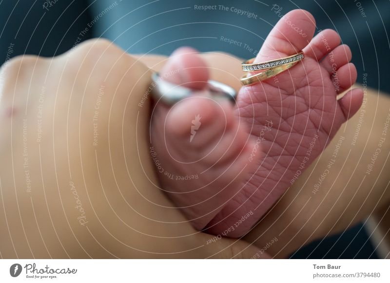 Eheringe an Babyfüssen neues Leben entsteht aus einer Verbindung Babyfüße Kind Mensch Innenaufnahme Zehen Fuß 0-12 Monate Beine Barfuß Schwache Tiefenschärfe
