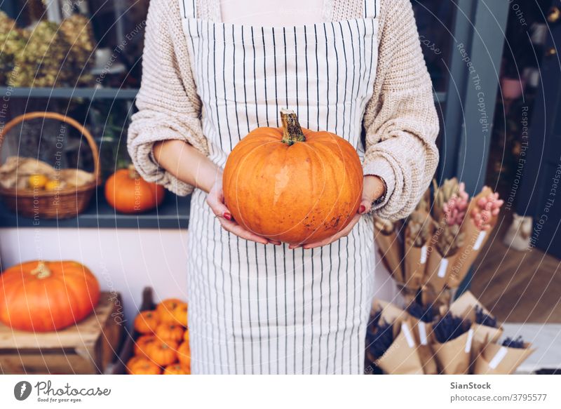 Frau hält einen Halloween-Kürbis in ihrem Blumenladen.
 Herbst-Herbst-Konzept. Hände Halt Mädchen Schürze Hintergründe Gesundheit Laden urban im Freien