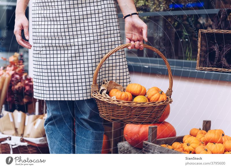 Frau, die in ihrem Laden einen Korb mit Kürbissen hält. Hände Halt Mädchen Schürze orange Hintergründe Gesundheit urban im Freien Lifestyle Lebensmittel Essen
