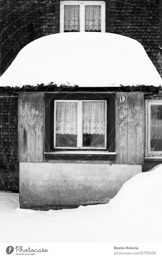 Schwarzwälder Schneehütchen: schneebedeckter Hauseingang Schwarzwald Winter Dach Schneehut weiß Hut Außenaufnahme Menschenleer dreizehn alt kalt Frost Schindeln