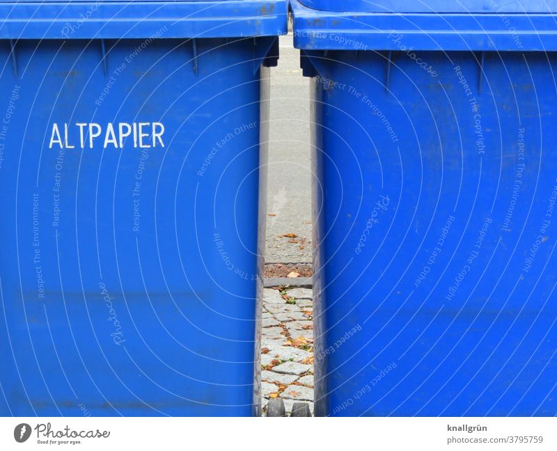 Zwei blaue Altpapiertonnen nebeneinander Recycling Müll Umweltschutz Müllbehälter Müllentsorgung Müllverwertung entsorgen Umweltverschmutzung wegwerfen