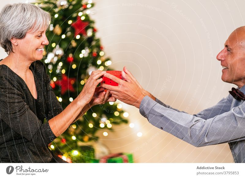 Lächelndes Paar, das an Weihnachten Geschenke austauscht Wechseln geben präsentieren Baum Kasten Gruß gratulieren reif heiter Feiertag feiern Winter fröhlich