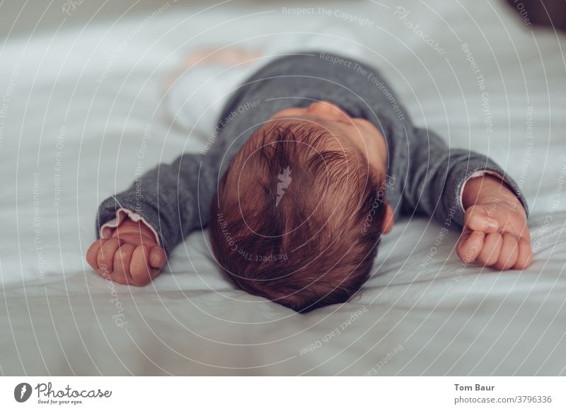 Baby auf dem Bett streckt sich, streckt die Arme mit geballten Fäusten nach oben aufwachen strecken sich[Akk] entspannen horizontal Erholung Textfreiraum schön
