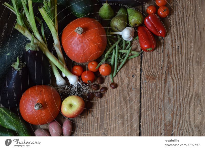 Schlaraffenland | für Gemüsefreunde Herbst herbstlich Ernte Erntedank Erntedankfest Freiraum Freifläche Obst Obst&Gemüse kochen Küche Holz rustikal Brett