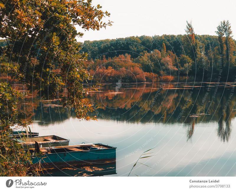Spiegelung von Bäumen im herbstlichen See mit kleinen, alten Booten. Herbst herbstlich verfärbt Seeufer Spiegelung im Wasser Holzboot Fischerboot Herbstlaub