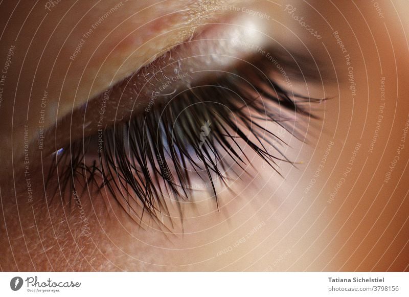 close-up Seitenansicht halbgeöffnetes Auge mit deutlich sichtbaren Wimpern Close-up unscharf macro