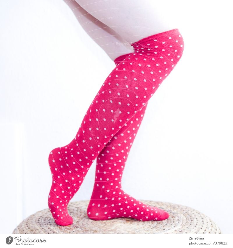 . feminin Beine 1 Mensch 18-30 Jahre Jugendliche Erwachsene Strümpfe rot weiß Farbfoto Studioaufnahme