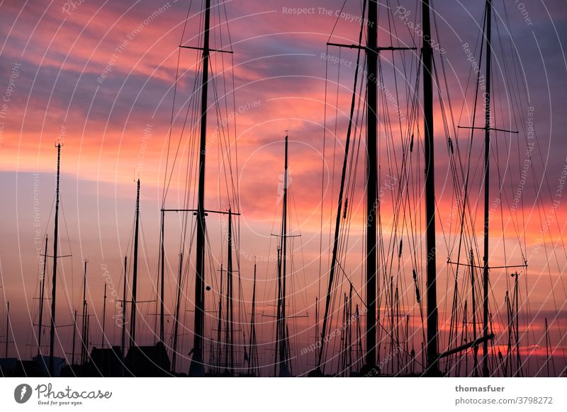 Segelboote, Masten, vor rotem Wolkenhimmel im Hafen Marina Wasserfahrzeug Takelage Himmel Schifffahrt Segeln Ferien & Urlaub & Reisen Meer Sonnenuntergang