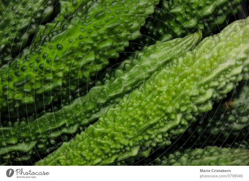 Nahaufnahme der Textur und des Musters des Bitterkürbisses grün Gemüse Hintergrund Gesundheit organisch roh frisch natürlich