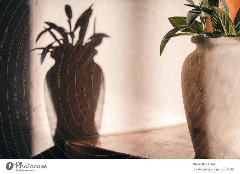Marmorvase mit Salbeiblättern Stillleben Vase Schatten Farbfoto Menschenleer Innenaufnahme Blumenstrauß Dekoration & Verzierung Lifestyle Häusliches Leben