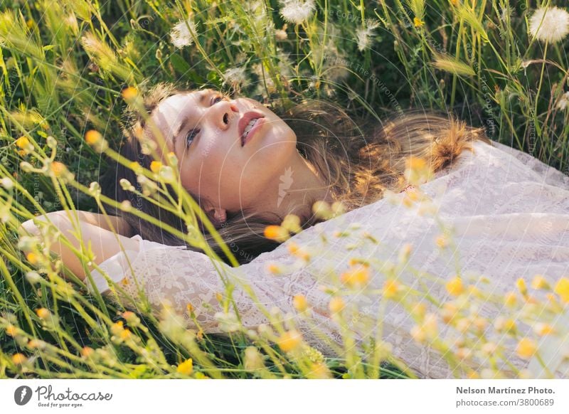 Porträt einer niedlichen, kaukasischen Frau, die auf dem Gras liegt. blond Kaukasier Mädchen schön natürliches Licht Blumen Pflanzen hübsch Mensch Natur Sommer