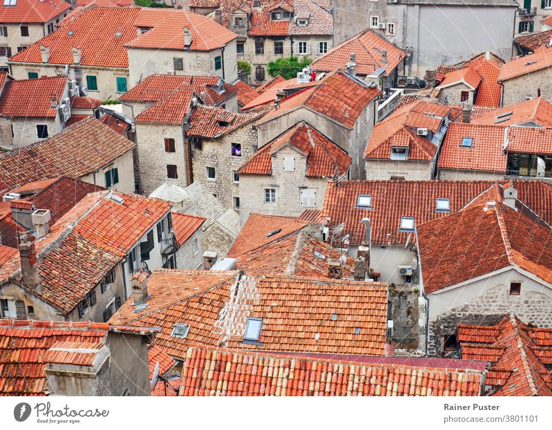 Blick über die Stadt von der Burg von Kotor, Montenegro Großstadt Stadtbild historisch kotor Landschaft mittelalterlich mediterran montenegro Berge u. Gebirge
