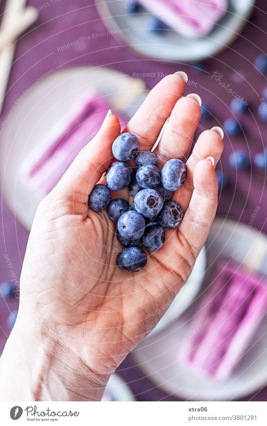 Blaubeeren Beeren Hand Eis eis am stiel Frucht Lebensmittel Foodfotografie Erfrischung Gesunde Ernährung lecker köstlich Obst Farbfoto Speiseeis Dessert süß
