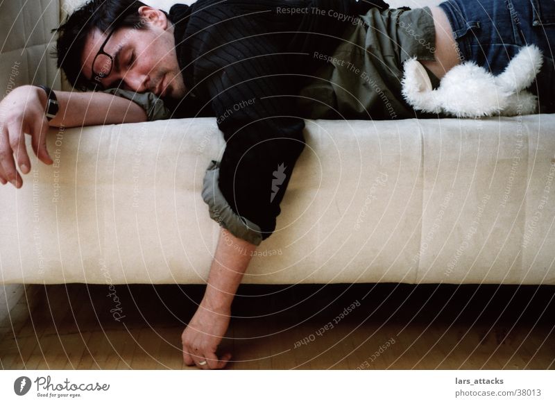 Hasenschlaf schlafen Sofa Stoffhase Mittagsschlaf Brille Hase & Kaninchen Mann Müdigkeit fertig lange Nacht