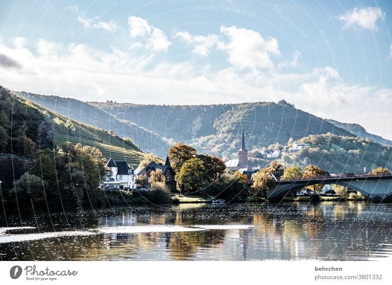 märchenmosel | moselmärchen Wasser Spiegelung Sonnenlicht Jahreszeiten herbstlich Herbst Hunsrück Rheinland-Pfalz Flussufer Mosel (Weinbaugebiet) Moseltal Ruhe