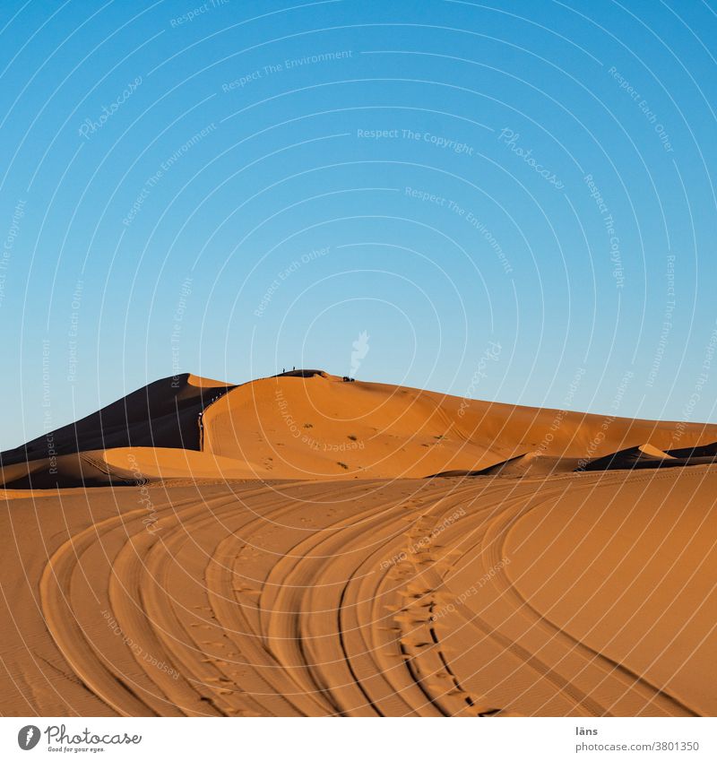 Spuren in der Wüste Sahara Afrika Autospuren Ferien & Urlaub & Reisen Sand Marokko Menschenleer Düne Farbfoto Arabien Tag Landschaft Tourismus Merzouga Ausflug