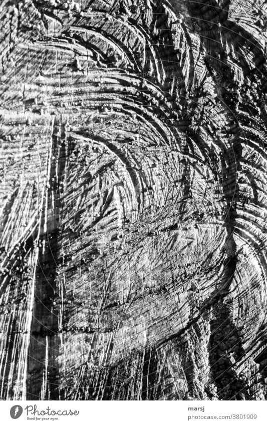 Holzstrukturen in Schwarz-Weiß Holzmaserung Maserung natürlich kaputt zerfurcht authentisch abstrakt Jahresringe Schnittspuren Sägeschnitt Muster