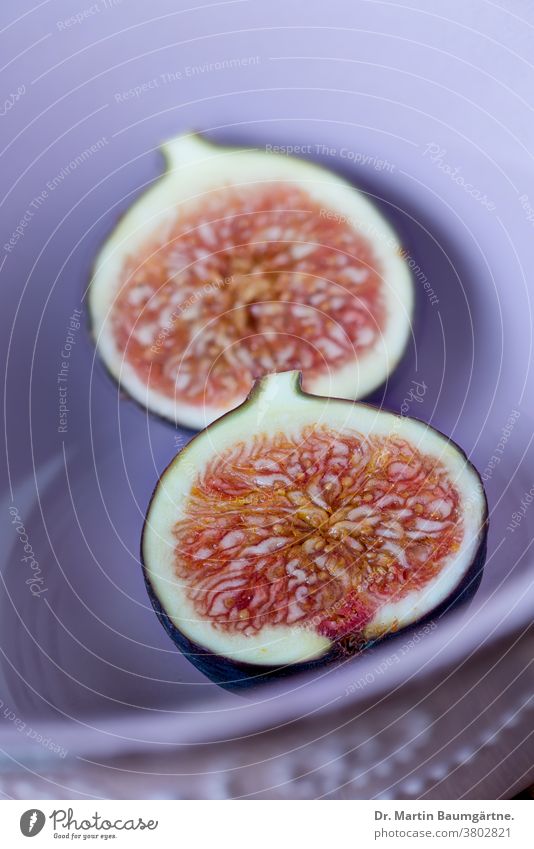 Feigen, in violetter Keramikschale Frucht FrÃ¼chte Obst halbiert aufgeschnitten Fruchtfleisch Samen