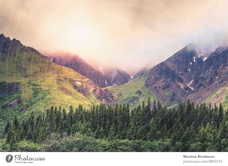 Gebirgskette mit dicken Wolken darüber im Denali-Nationalpark, Alaska Park national denali Berge u. Gebirge Landschaft Nebel reisen USA Wildnis Umwelt im Freien
