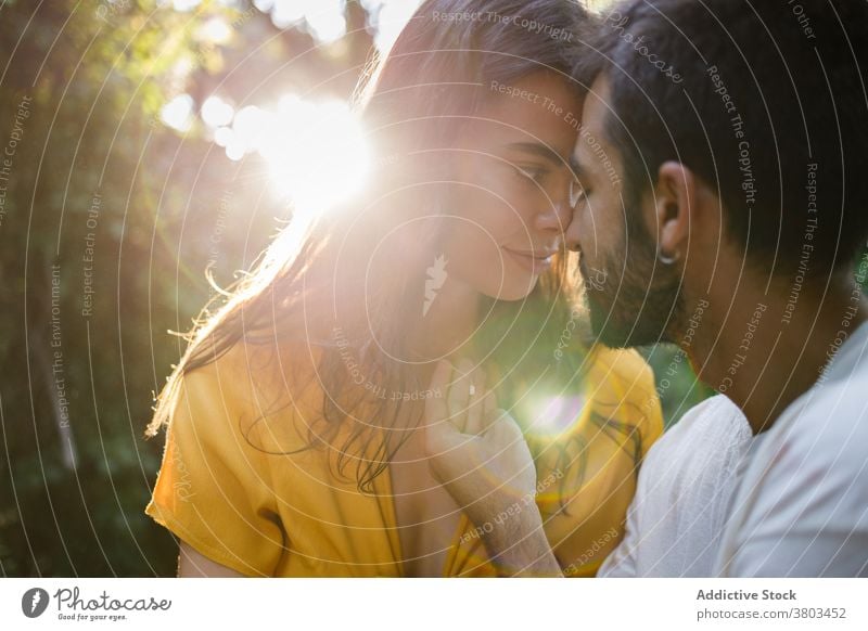 Romantisches junges ethnisches Paar verbringt Zeit miteinander im grünen Park romantisch Glück Liebe Angebot Zusammensein Zeit verbringen Garten Feiertag