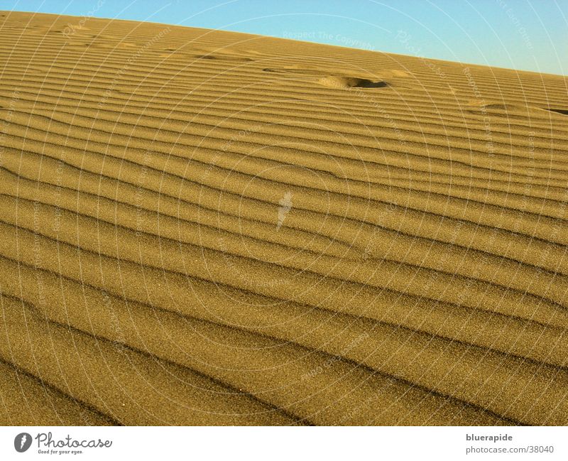Fussspuren im Dünensand gelb Korn Sand Wüste Stranddüne Spuren