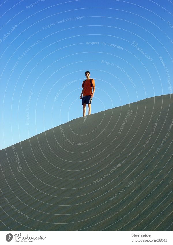 Auf der Düne stehn klein Mann stehen Himmel blau Sand Stranddüne Wüste Mensch oben Blick Aussicht