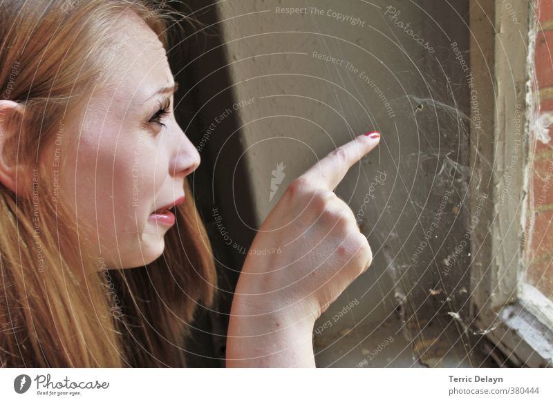 der pure Ekel feminin Junge Frau Jugendliche Kopf 1 Mensch 18-30 Jahre Erwachsene Tier Fenster blond Spinne beobachten gruselig Entsetzen zeigen Spinnennetz